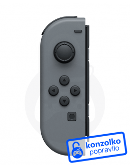 Nintendo Switch Joy-Con servis